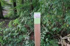 Einsatz-14.08.-5