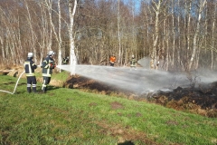 2020-03-26-Waldbrand-in-Karlshöfen