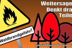 Bild-Waldbrandgefahr