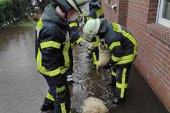 Hochwasser-Hegebusch-6-web