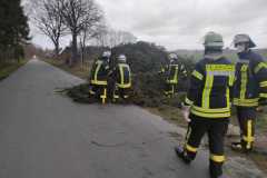 2022-02-17-Gemeindefeuerwehr-Gnarrenburg-Sturm-11-web