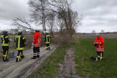 2022-02-17-Gemeindefeuerwehr-Gnarrenburg-Sturm-12-web