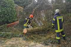 2022-02-17-Gemeindefeuerwehr-Gnarrenburg-Sturm-17-web