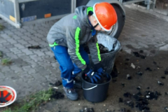 IMG-20220918-WA0087-web