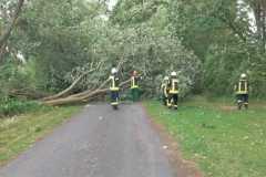 IMG-20230705-WA0027