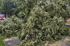 IMG-20230705-WA0035