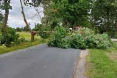 IMG-20230705-WA0038