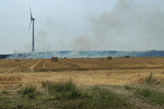 IMG20230709135313