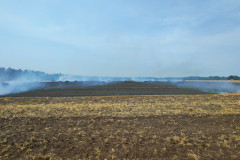 IMG20230709140343