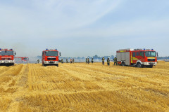 IMG20230709141523