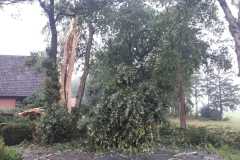 WhatsApp-Image-2023-07-10-at-16.42.131
