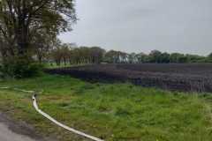 IMG-20240427-WA0018