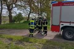 IMG-20240427-WA0027