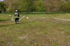 IMG-20240427-WA0034