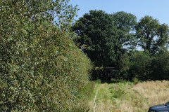 IMG_20240806_115334