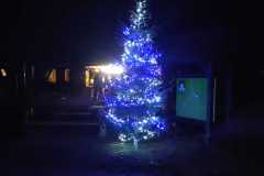 IMG-20241129-WA0027