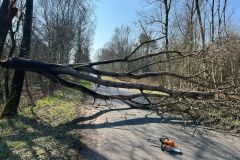 IMG-20250322-WA0008