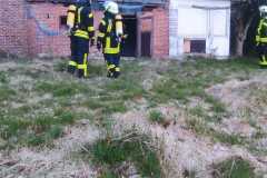 IMG-20250403-WA0013
