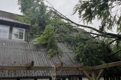 IMG-20250528-WA00151