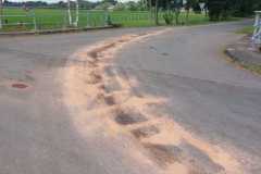 IMG-20250629-WA0012